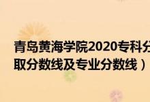 青島黃海學(xué)院2020?？品?jǐn)?shù)（青島黃海學(xué)院2021年各省錄取分?jǐn)?shù)線及專業(yè)分?jǐn)?shù)線）