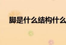 腳是什么結(jié)構(gòu)什么部首（腳是什么結(jié)構(gòu)）