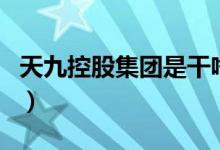 天九控股集團(tuán)是干啥的（天九集團(tuán)是干什么的）