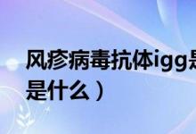 風(fēng)疹病毒抗體igg是什么（風(fēng)疹病毒抗體igg是什么）
