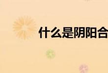 什么是陰陽合約（什么是陰吹）