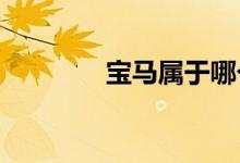 寶馬屬于哪個集團(tuán)旗下品牌