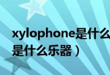 xylophone是什么樂(lè)器怎么讀（xylophone是什么樂(lè)器）