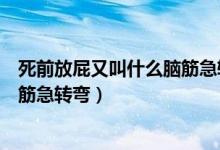死前放屁又叫什么腦筋急轉(zhuǎn)彎兩個(gè)字（死前放屁又叫什么腦筋急轉(zhuǎn)彎）