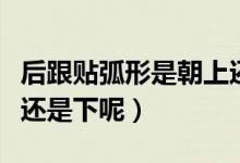 后跟貼弧形是朝上還是朝下（后跟貼弧形朝上還是下呢）