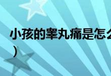 小孩的睪丸痛是怎么回事（睪丸痛是怎么回事）