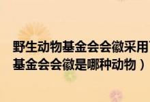 野生動(dòng)物基金會(huì)會(huì)徽采用了中國(guó)的哪種動(dòng)物（世界野生生物基金會(huì)會(huì)徽是哪種動(dòng)物）