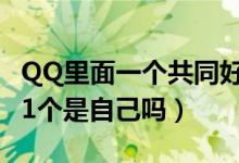 QQ里面一個共同好友是自己嗎（qq共同好友1個是自己嗎）