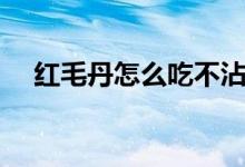 紅毛丹怎么吃不沾核皮（紅毛丹怎么吃）