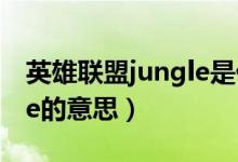 英雄聯(lián)盟jungle是什么意思（英雄聯(lián)盟jungle的意思）