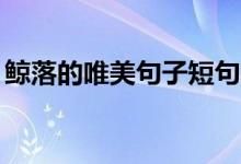 鯨落的唯美句子短句10字（鯨落的唯美句子）