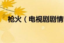 槍火（電視劇劇情簡(jiǎn)介 槍火電視劇劇情）