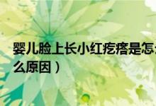 嬰兒臉上長(zhǎng)小紅疙瘩是怎么回事（嬰兒臉上長(zhǎng)小紅疙瘩是什么原因）