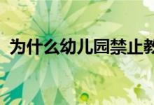為什么幼兒園禁止教孩子學(xué)拼音識字和數(shù)學(xué)