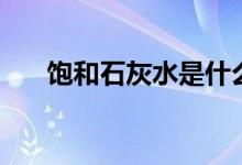 飽和石灰水是什么（石灰水有什么用）