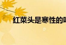 紅菜頭是寒性的嗎（紅菜頭是什么菜）