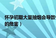 懷孕初期大量抽煙會(huì)導(dǎo)致什么結(jié)果（懷孕一直抽煙到生的人的危害）