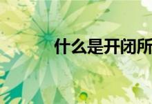 什么是開閉所（什么是開宮口）