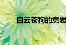 白云蒼狗的意思是（白云蒼狗解釋）