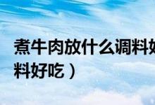 煮牛肉放什么調料好吃竅門（煮牛肉放什么調料好吃）