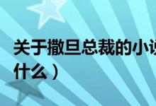 關(guān)于撒旦總裁的小說（關(guān)于撒旦總裁的小說有什么）