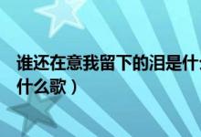 誰(shuí)還在意我留下的淚是什么歌（歌詞誰(shuí)還在意我留下的淚是什么歌）