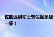 佐助遇到穢土轉生鼬是哪一集（穢土轉生鼬和佐助一起是哪一集）