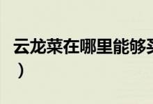 云龍菜在哪里能夠買到（云龍菜在農(nóng)村叫什么）