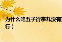 為什么吃五子衍宗丸沒(méi)有效果（為什么越吃五子衍宗丸越不行）
