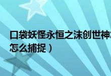 口袋妖怪永恒之沫創(chuàng)世神怎么抓（口袋妖怪永恒之沫創(chuàng)世神怎么捕捉）
