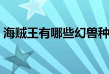 海賊王有哪些幻獸種（海賊王有哪些海賊團(tuán)）