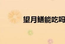 望月鱔能吃嗎（望月鱔能吃嗎）