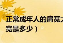 正常成年人的肩寬大概是多少（成年人的的肩寬是多少）