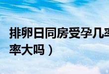 排卵日同房受孕幾率有多大（排卵日同房受孕率大嗎）