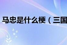 馬忠是什么梗（三國殺馬忠這把穩(wěn)了什么梗）