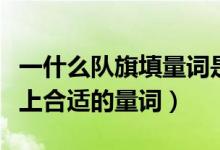 一什么隊旗填量詞是什么（“一什么隊旗”填上合適的量詞）