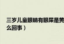 三歲兒童眼睛有眼屎是黃膿狀（3歲寶寶的眼屎是黃膿狀怎么回事）