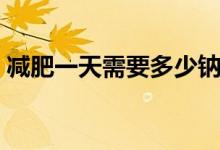 減肥一天需要多少鈉（減肥一天需要多少水）