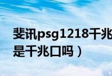 斐訊psg1218千兆口是哪個(gè)（斐訊psg1218是千兆口嗎）