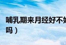 哺乳期來月經(jīng)好不好（哺乳期來月經(jīng)是體質差嗎）