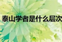 泰山學者是什么層次（泰山學者是什么級別）