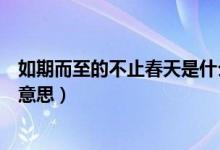 如期而至的不止春天是什么意思（萬事順遂不止春天是什么意思）