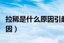 拉稀是什么原因引起的吃啥藥（拉稀是什么原因）