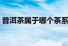 普洱茶屬于哪個茶系（普洱茶屬于哪一類茶）