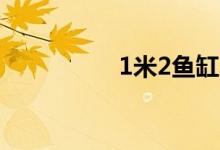 1米2魚缸養(yǎng)幾條錦鯉魚