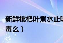 新鮮枇杷葉煮水止咳做法（新鮮枇杷葉煮水有毒么）
