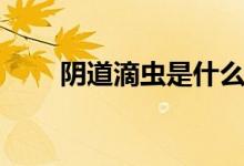 陰道滴蟲是什么（陰道滴蟲是什么）