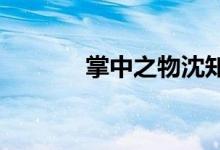 掌中之物沈知節(jié)是不是傅慎行