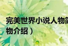 完美世界小說(shuō)人物簡(jiǎn)介文庫(kù)（完美世界小說(shuō)人物介紹）