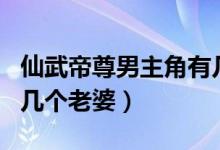 仙武帝尊男主角有幾個老婆（仙武帝尊男主角幾個老婆）